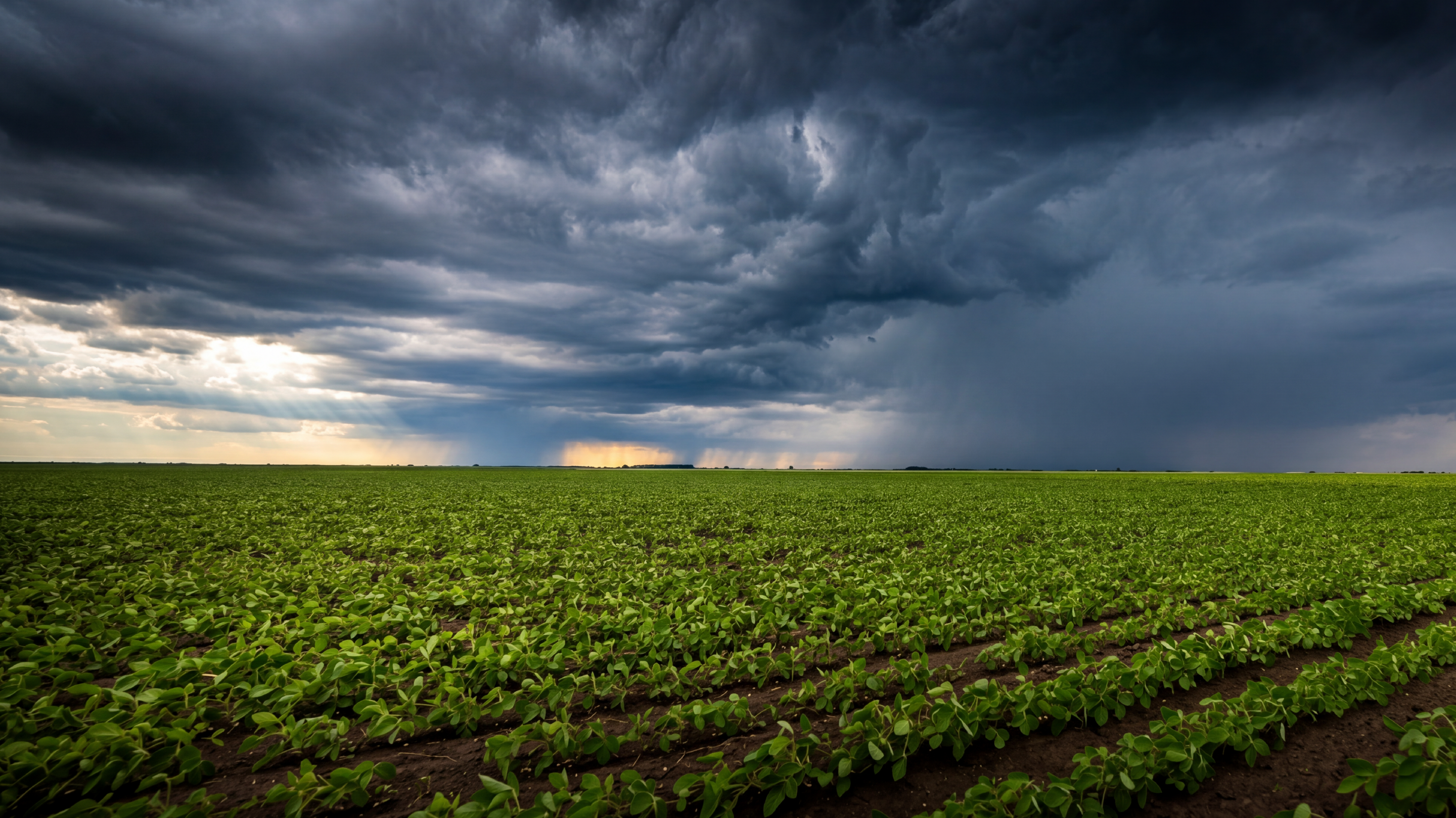 alt="Lavoura sob tempestade, representando o uso de índices climáticos para monitorar riscos no campo."