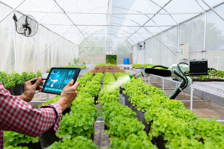Agricultura moderna em estufa com cultivo de alface monitorado por tablet e tecnologia automatizada.
