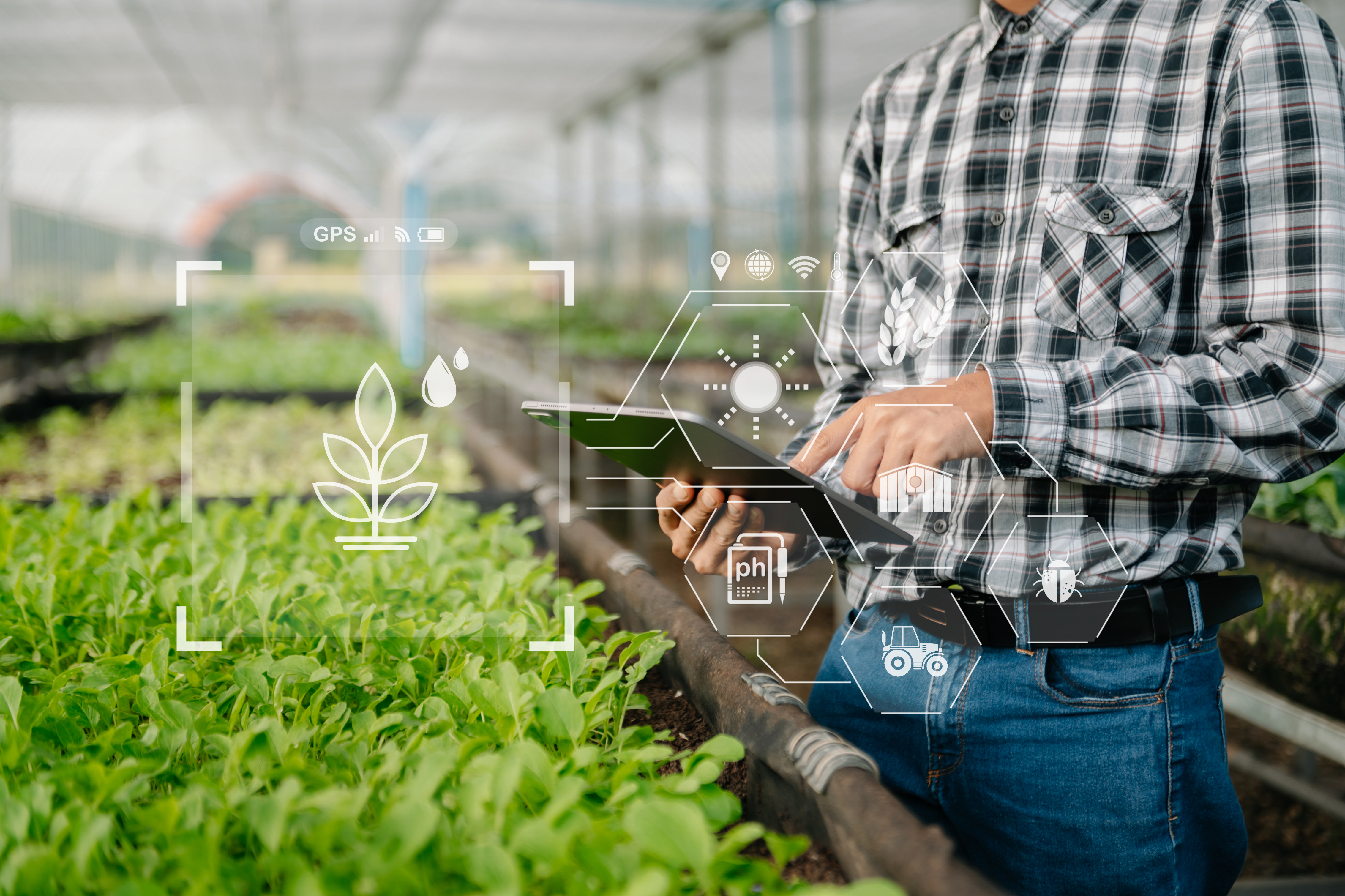 Agricultor em estufa agrícola trabalhando no tablet.