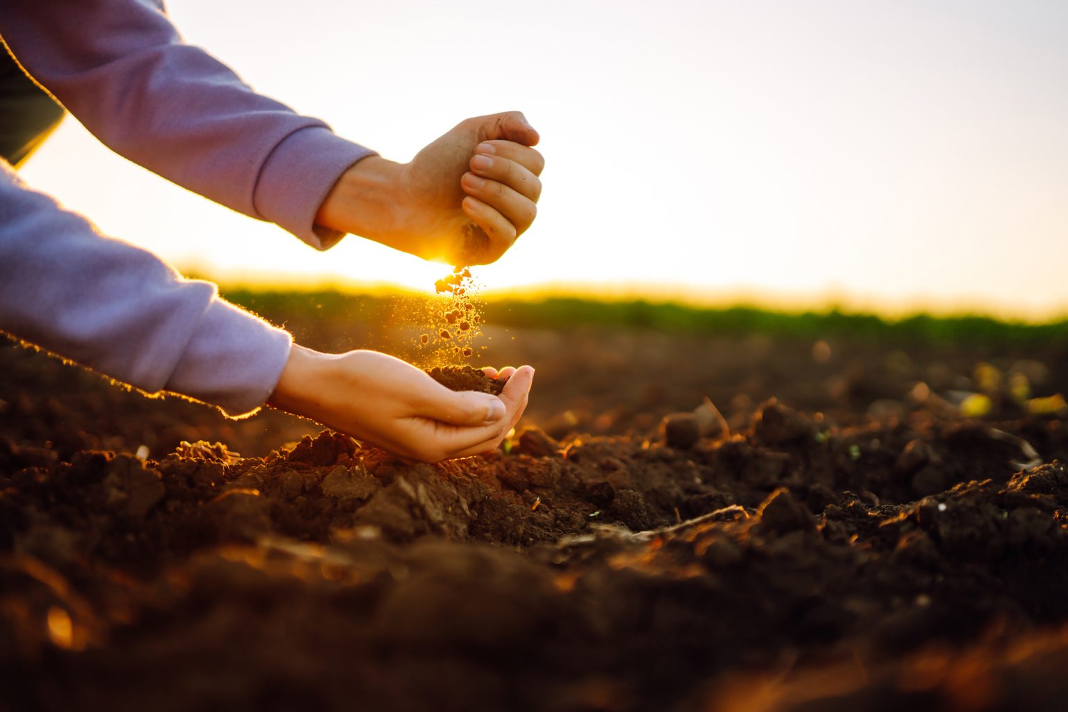 O risco no agronegócio e os principais tipos de proteção em seguros